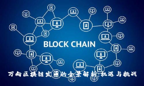 万向区块链发币的全景解析：机遇与挑战
